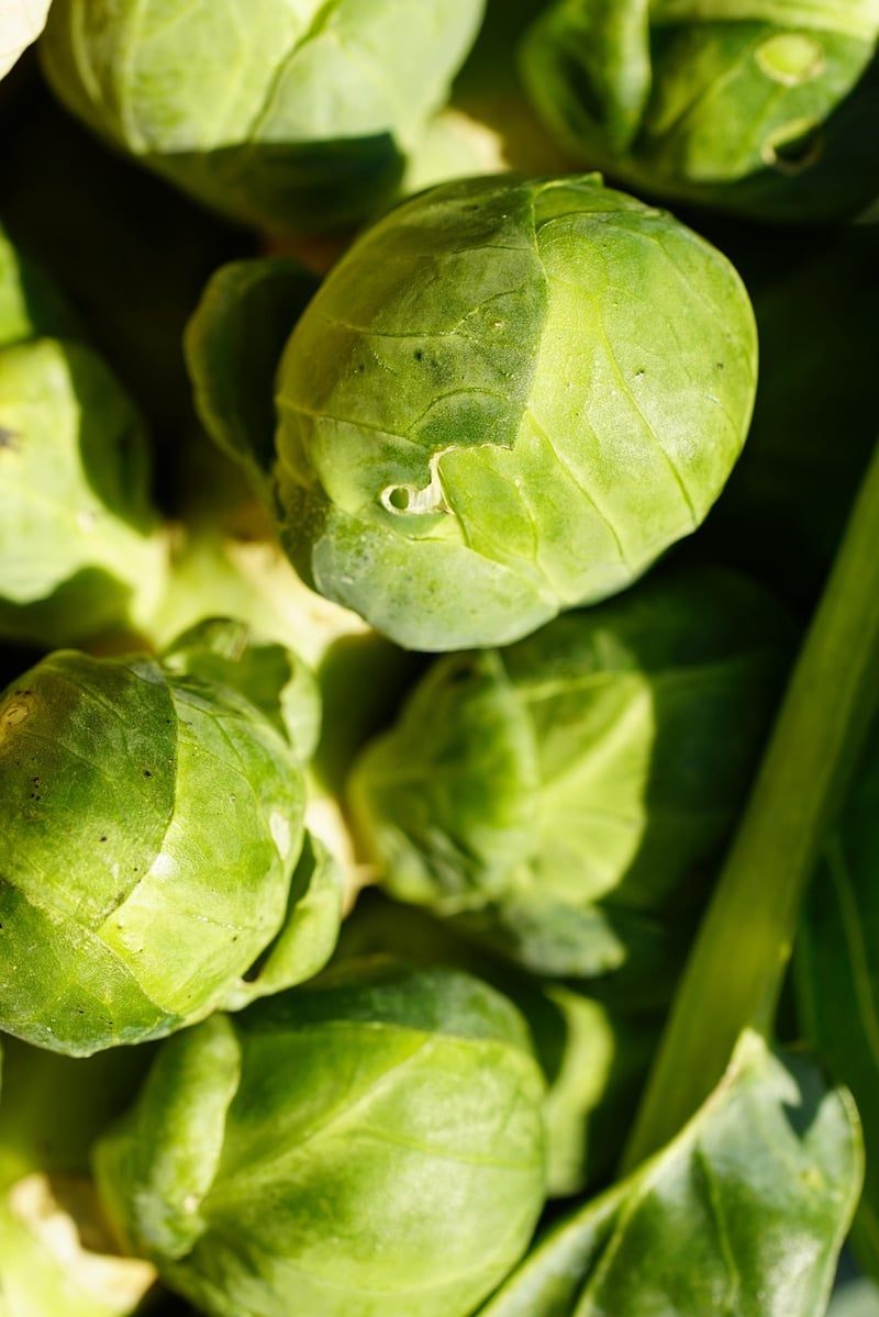 Brussels sprouts